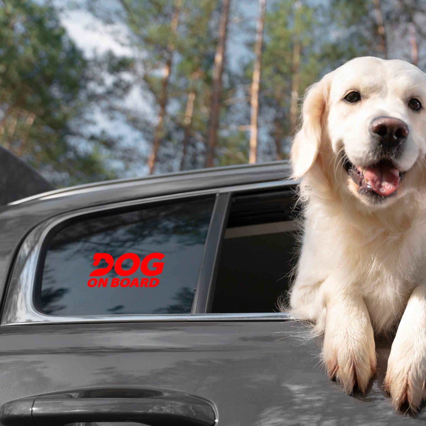 Dog On Board Pet Owner | Waterproof Vinyl decal Sticker